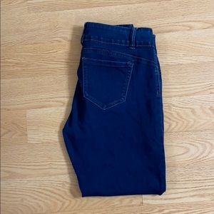 Sandpiper Blue Skinny Jeans